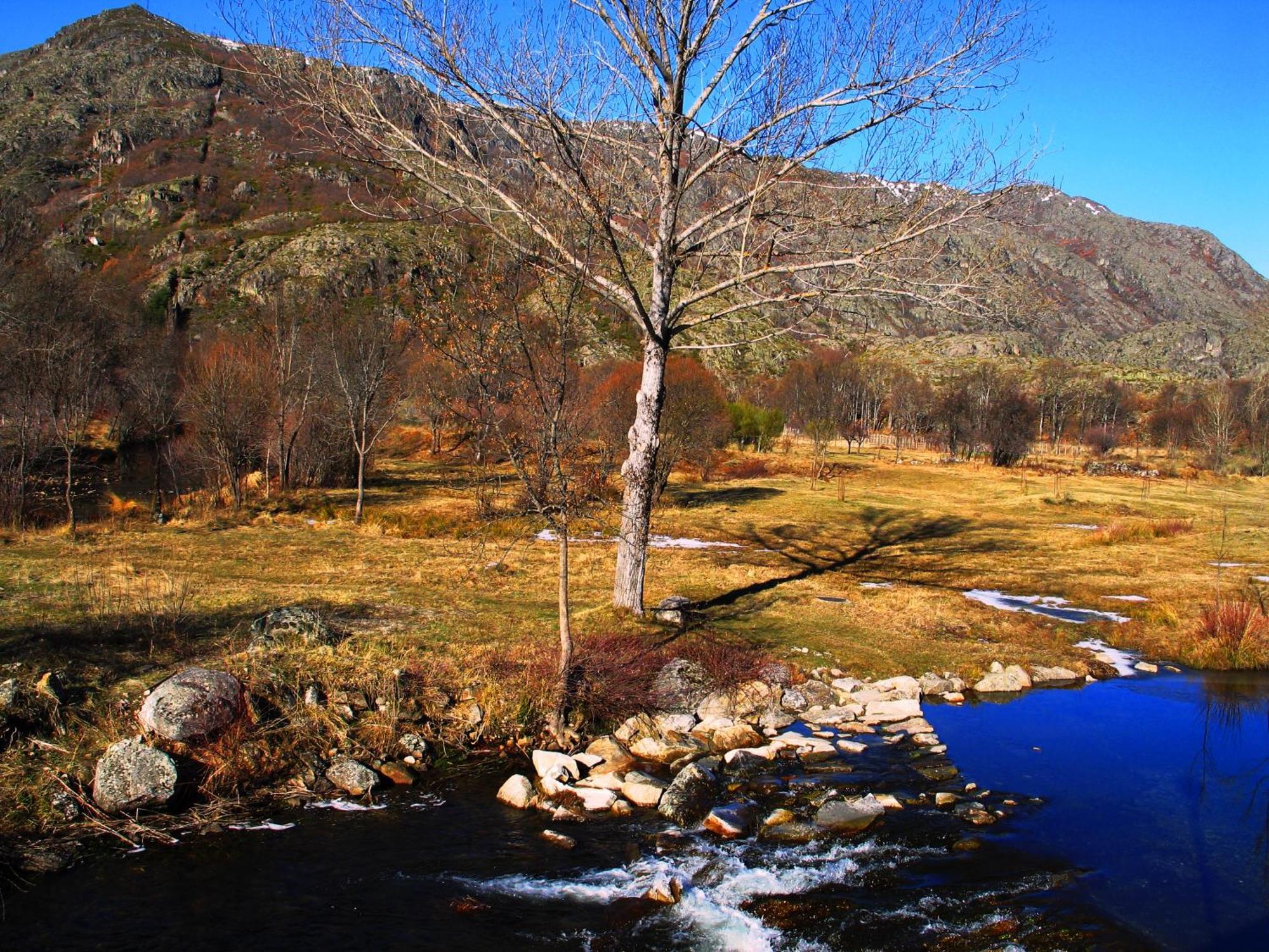 Ribadelago Hostal Martin - Sanabria מראה חיצוני תמונה
